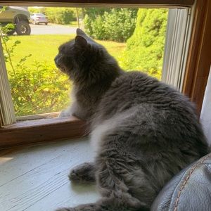 Meet your Posher, Roseann